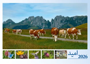 Dari - Deutsch, Bildkalender Hoffnung - Monatskalender