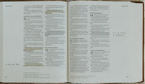 Sconi Bibel Bibel mit Olivenzweig - hellbraun mit Schreibrand