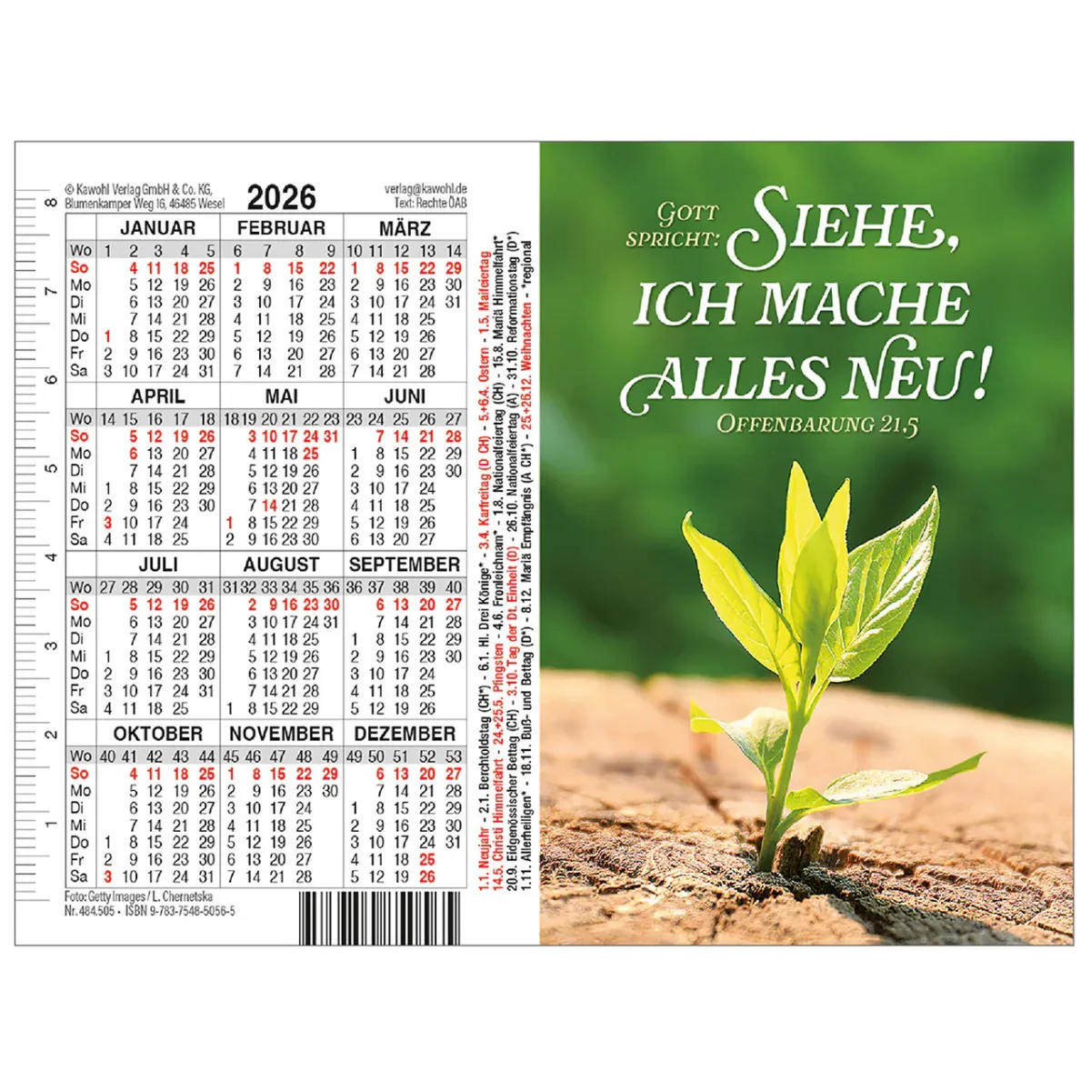 Doppel-Spielkarten-Kalender Gott spricht: Siehe, ich mache alles neu 
Jahreslosung 2026 - Motiv...