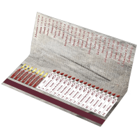 Für 24 leuchtende Adventsmomente (Zündende Adventsgedanken)