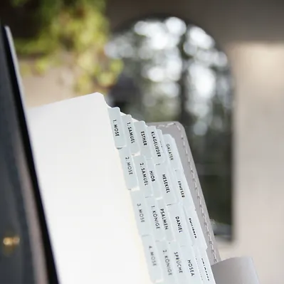 Bibel Griffregister Opal