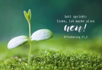 Poster A2 JL 2026 Motiv Spross - Offenbarung 21,5