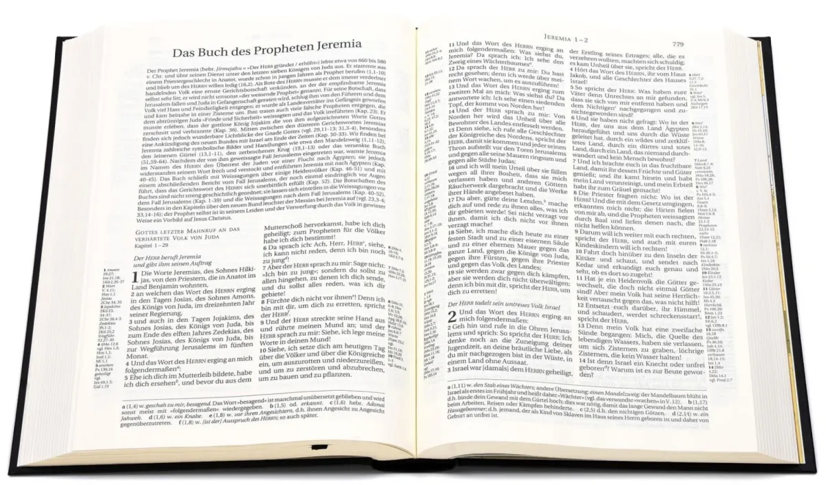 Schlachter 2000 Bibel Standardausgabe mit Parallelstellen (Hardcover, schwarz)