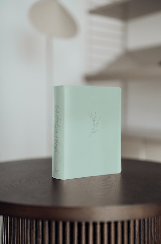 Schlachter Liebezurbibel (Schreibrandbibel Eden) - Flexibler Kunstledereinband - Mint mit...