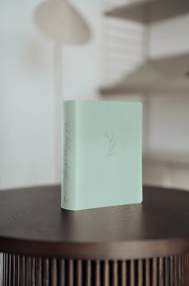 Schlachter Liebezurbibel (Schreibrandbibel Eden) - Flexibler Kunstledereinband - Mint mit...