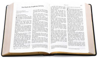 Bibel Schlachter 2000 Grossdruckausgabe, Kalbsleder-Einband (flexibel), Goldschnitt, Fadenheftung...