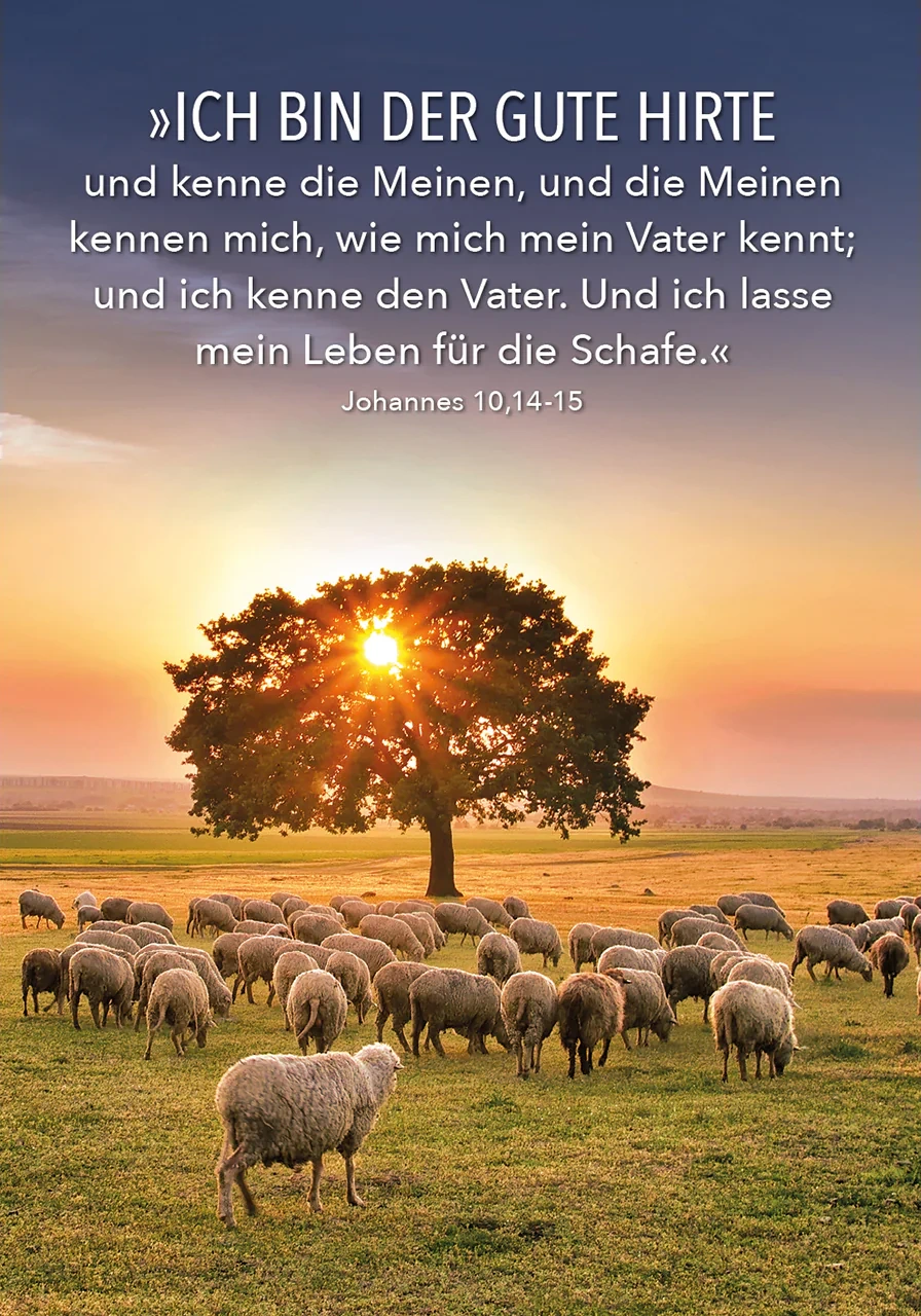 Jesus Worte - Karten-Box (55 Karten)