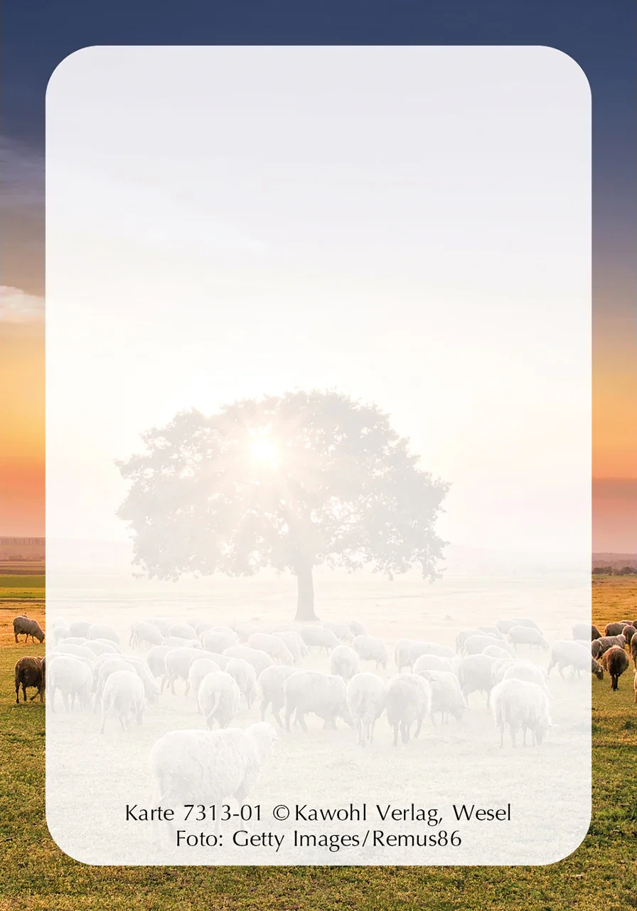 Jesus Worte - Karten-Box (55 Karten)