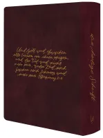 NeÜ bibel.heute Liebezurbibel (Schreibrandbibel WINE) - Flexibler Kunstledereinband - weinrot mit...