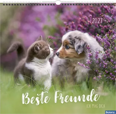 Beste Freunde - Ich mag dich - Posterkalender
