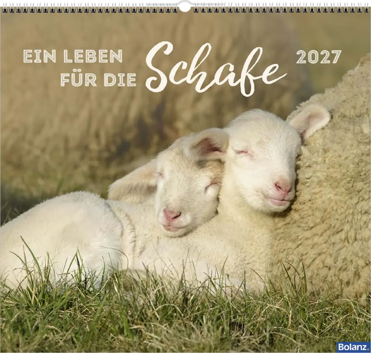 Ein Leben für die Schafe - Wandkalender