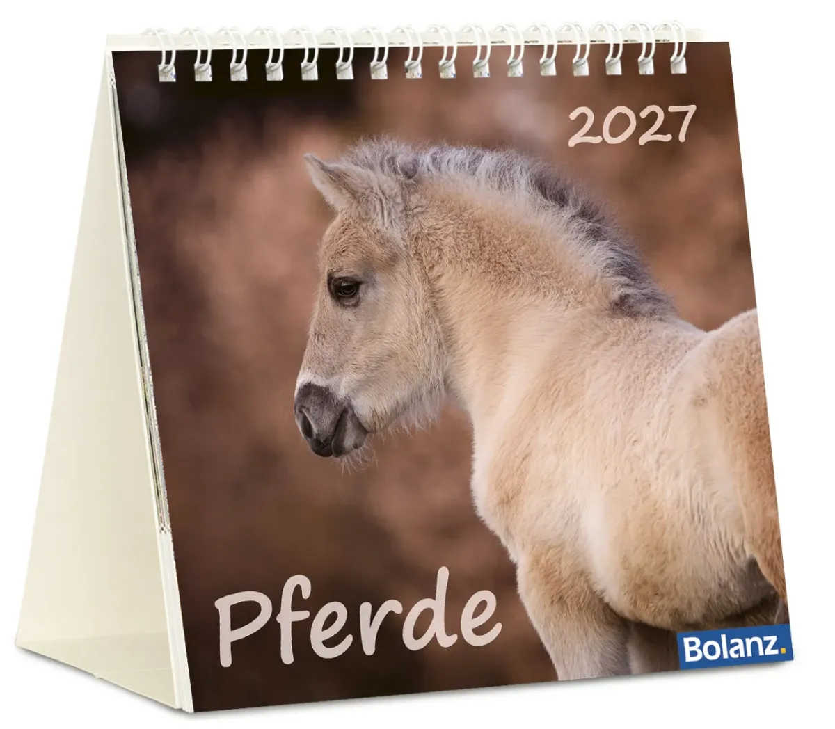 Pferde - Tischkalender
