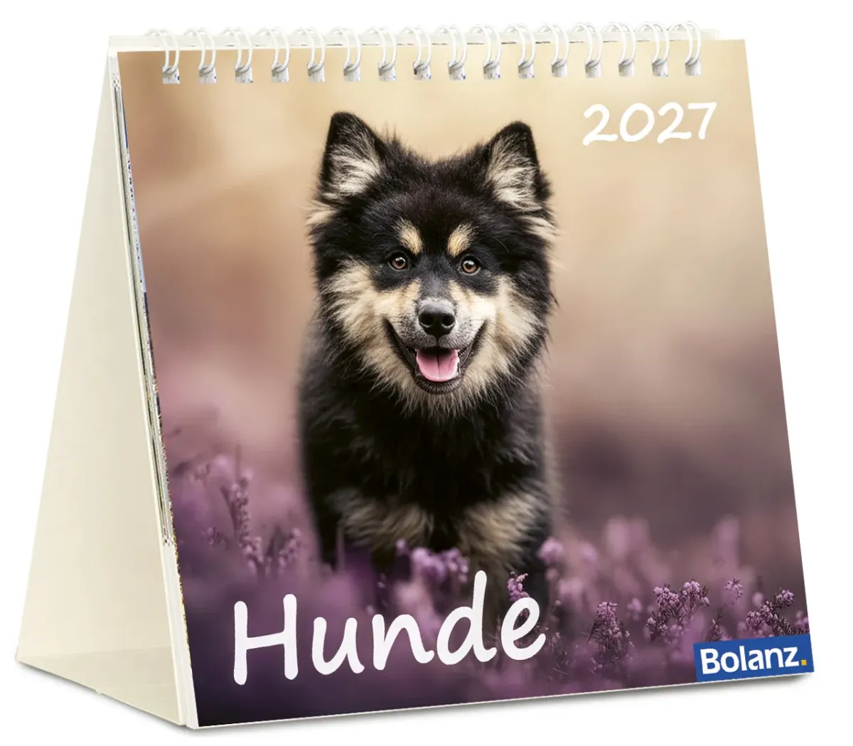 Hunde - Tischkalender