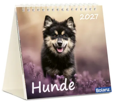 Hunde - Tischkalender