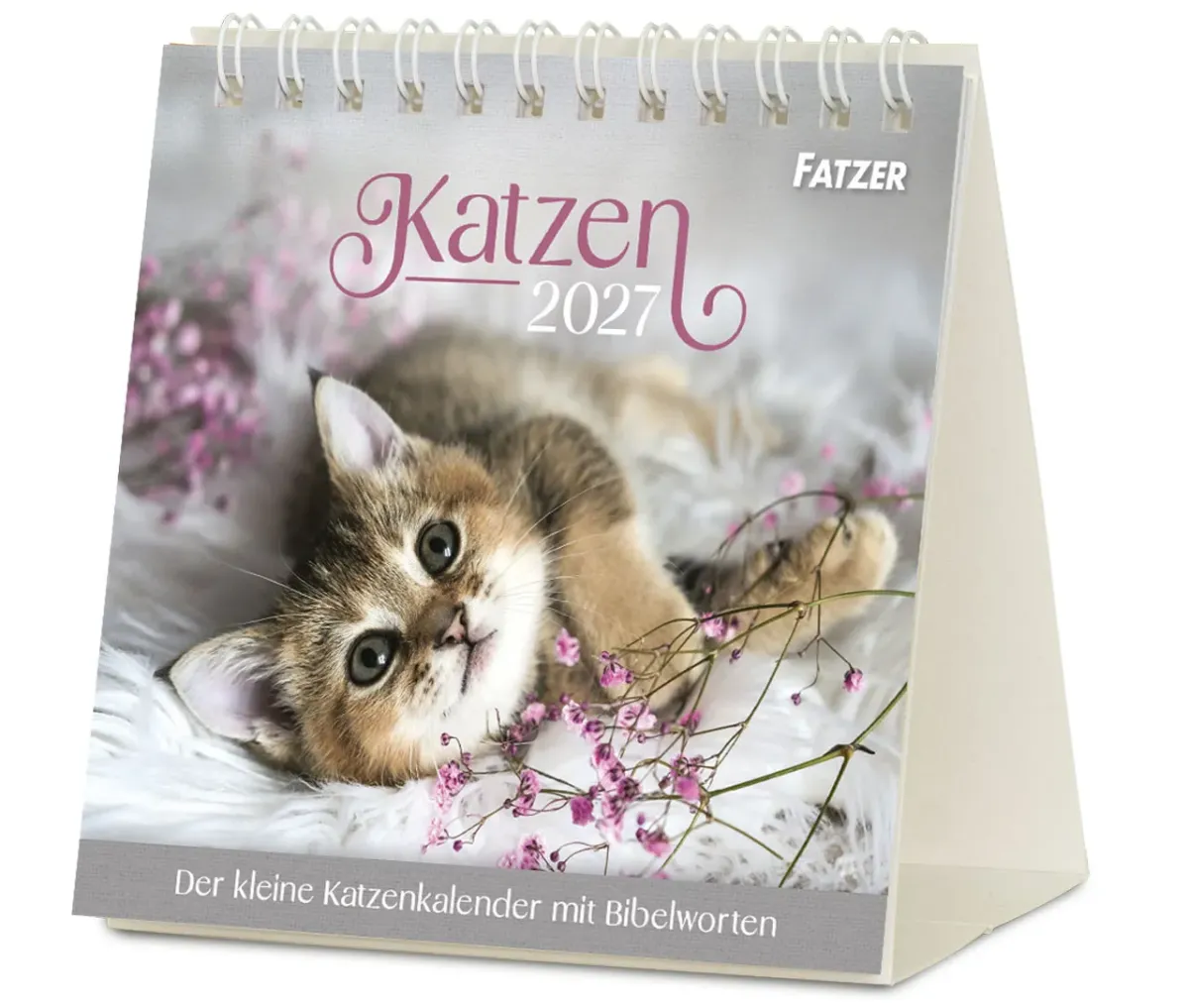 Katzen - Tischkalender