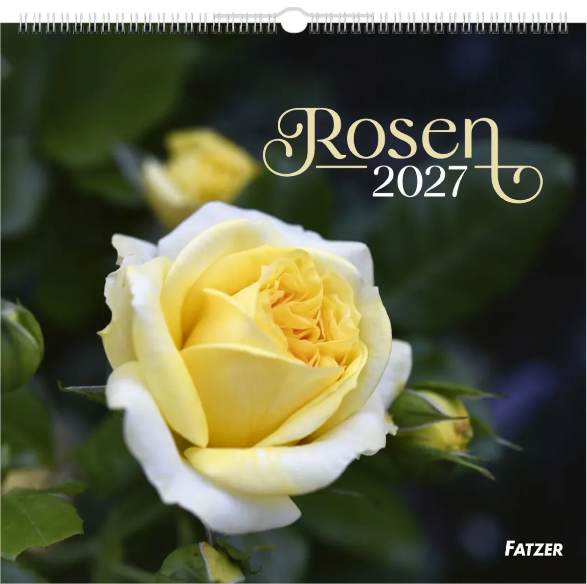Rosen - Wandkalender