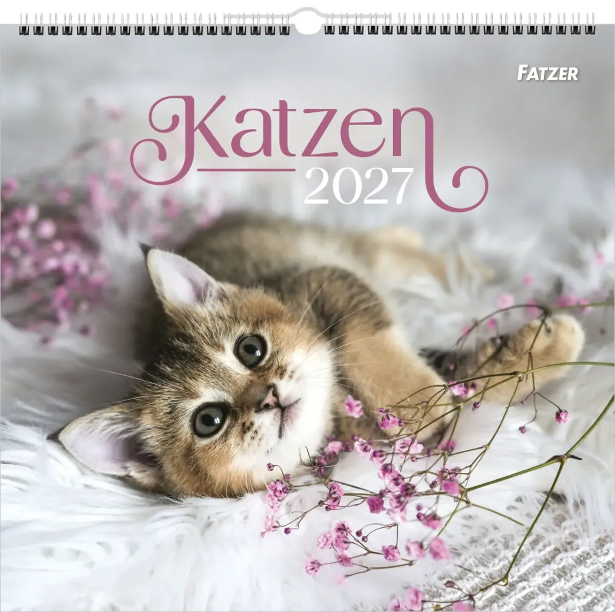 Katzen - Wandkalender
