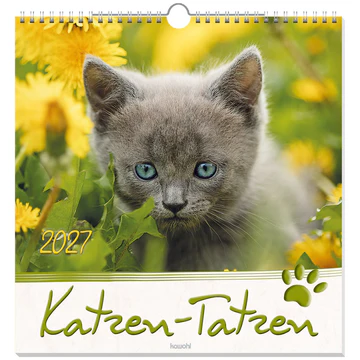 Katzen-Tatzen - Wandkalender