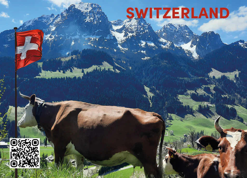 Swiss Magnet - Kuh