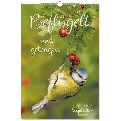 Beflügelt und getragen - faszinierende Vögel - Wandkalender