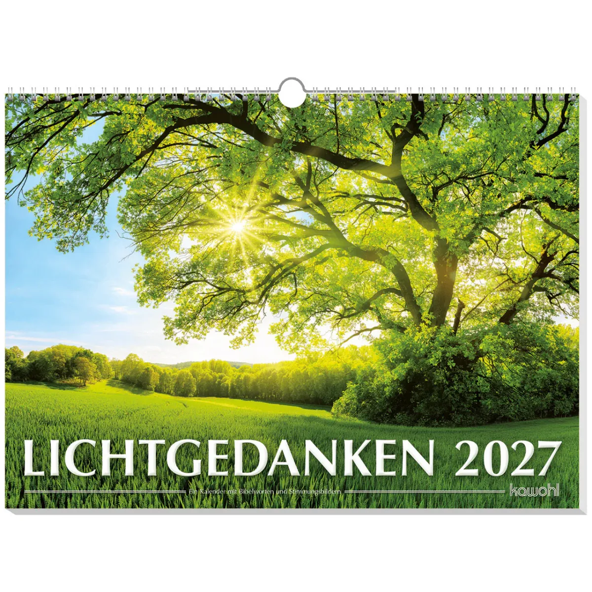 Lichtgedanken - Wandkalender