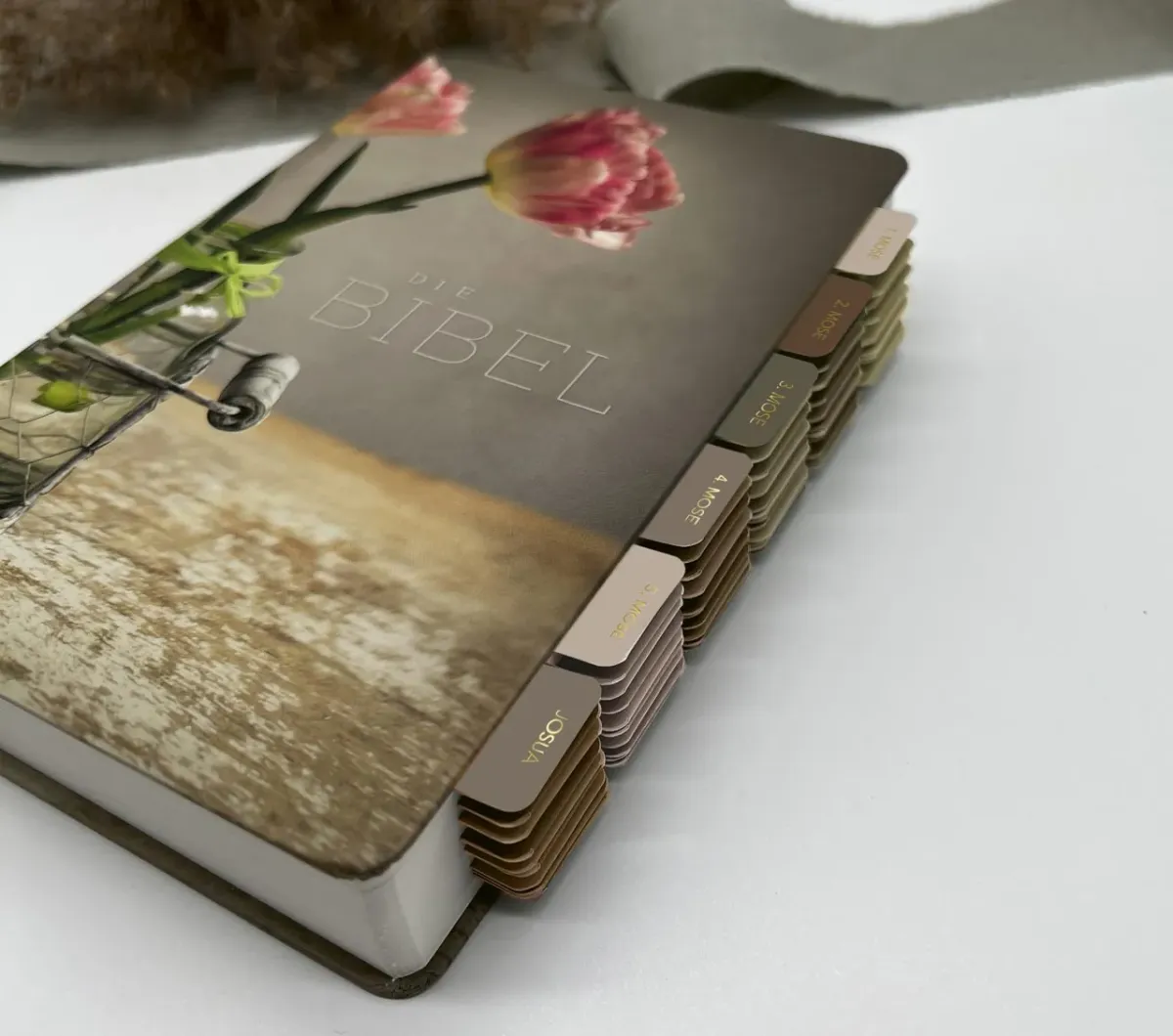 Bibel-Griffregister Urvertrauen Braun