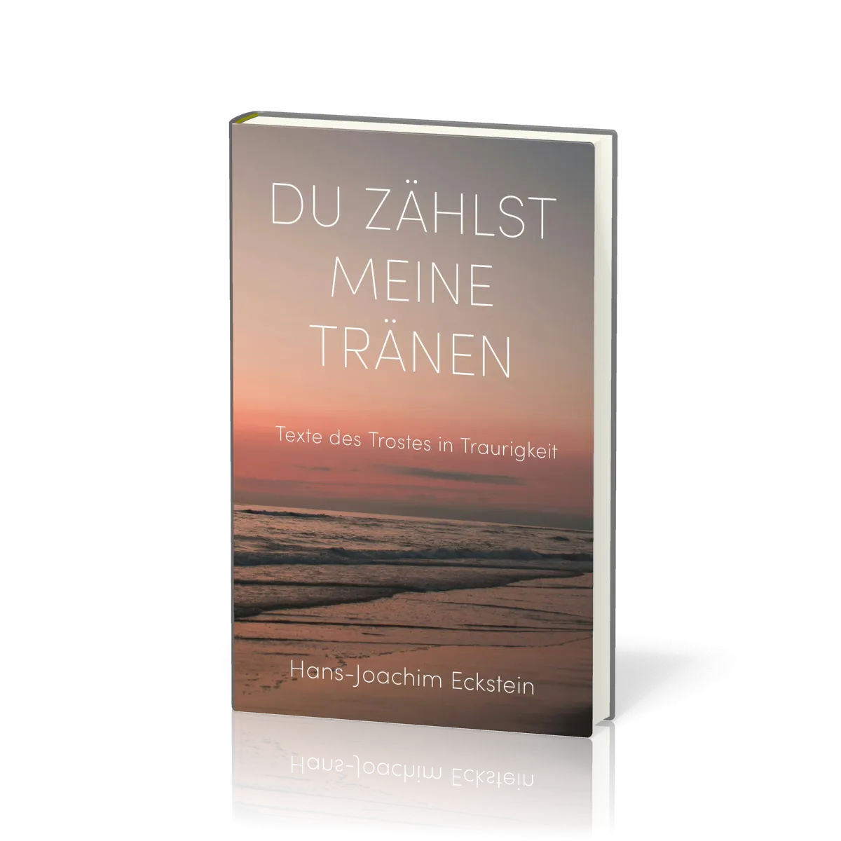 Du zählst meine Tränen - Texte des Trostes in Traurigkeit