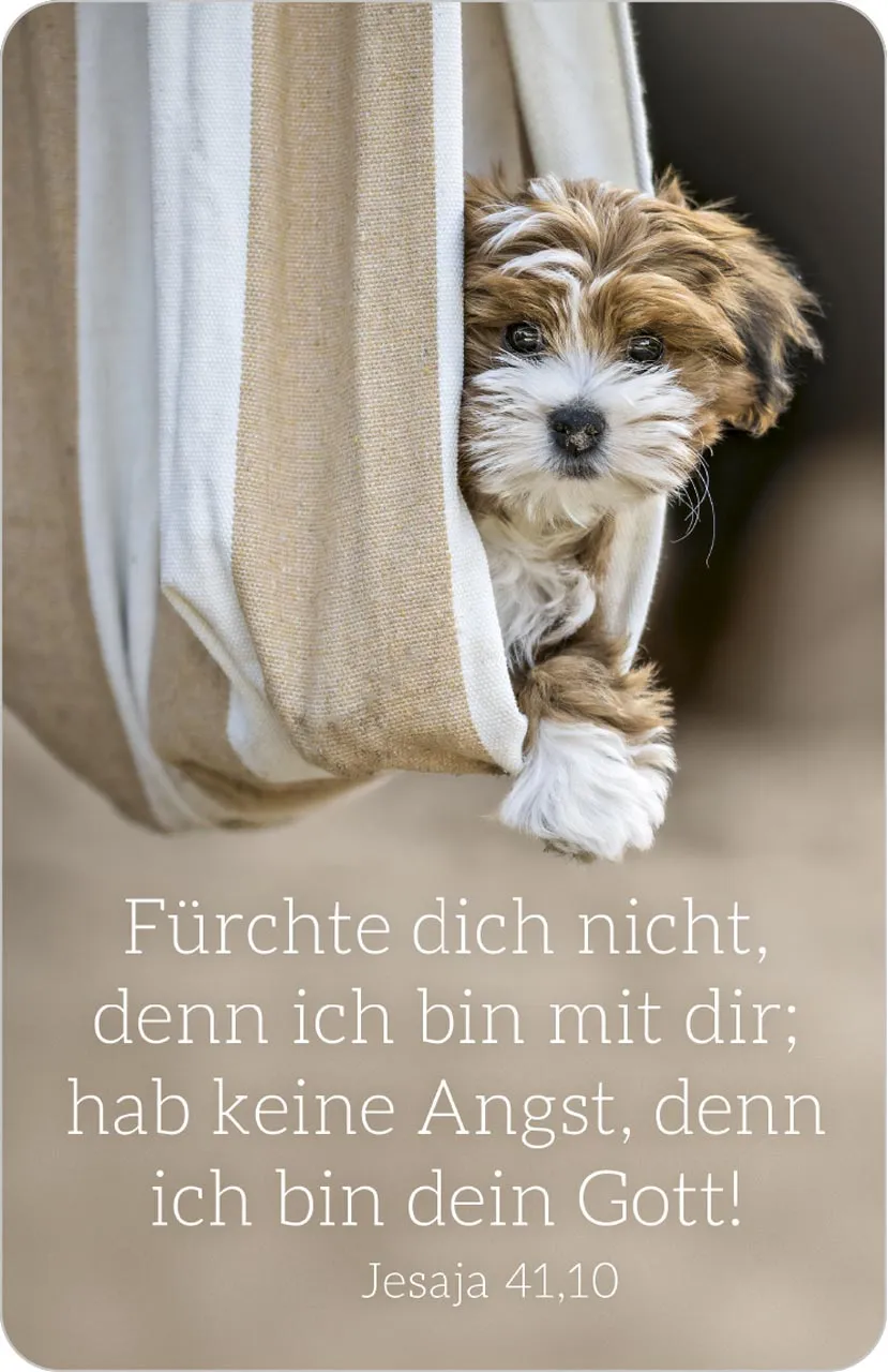 Kalender Kärtchen - Hund - Jesaja 41.10 (Jahreskalender)