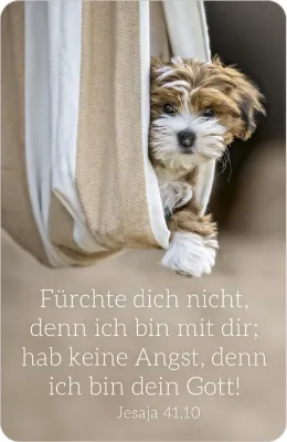 Kalender Kärtchen - Hund - Jesaja 41.10 (Jahreskalender)
