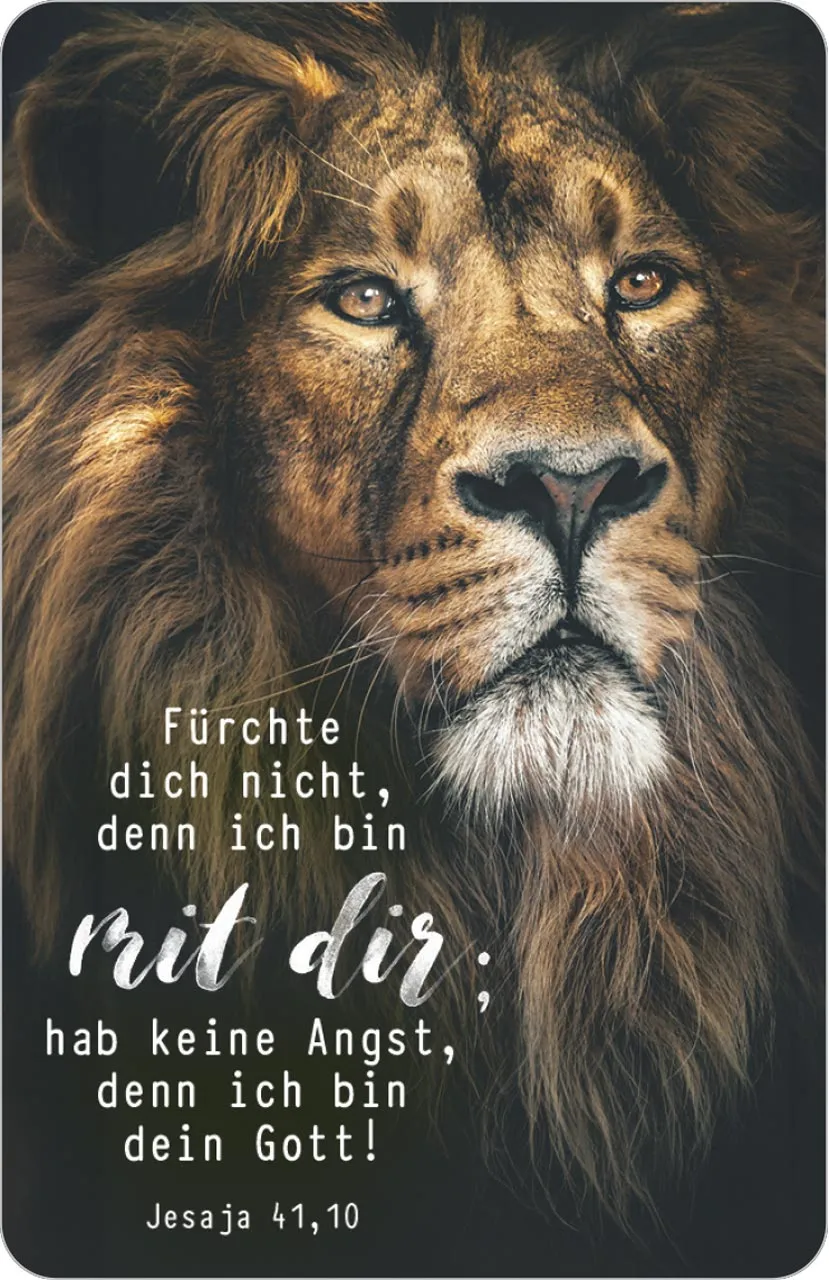 Kalender Kärtchen - Löwe - Jesaja 41.10 (Jahreskalender)