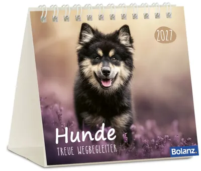 Hunde - Treue Wegbegleiter - Minikalender
