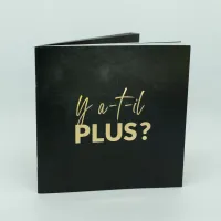 Français - Y a-t-il plus ? - THEFOUR