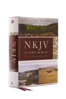 Englisch, Studienbibel New King James Version, Grossdruck, Hardcover, illustrierter Einband,...