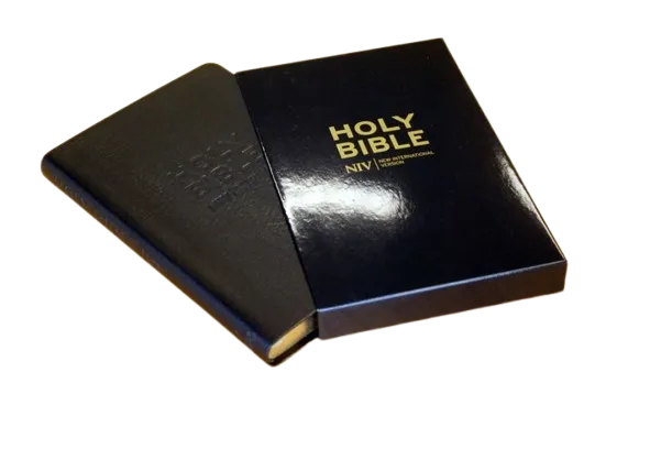 Englisch, Bibel New International Version, Thinline, Leder, schwarz, Goldschnitt