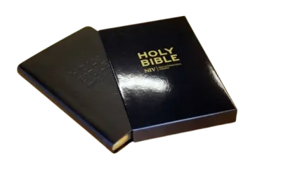 Englisch, Bibel New International Version, Thinline, Leder, schwarz, Goldschnitt
