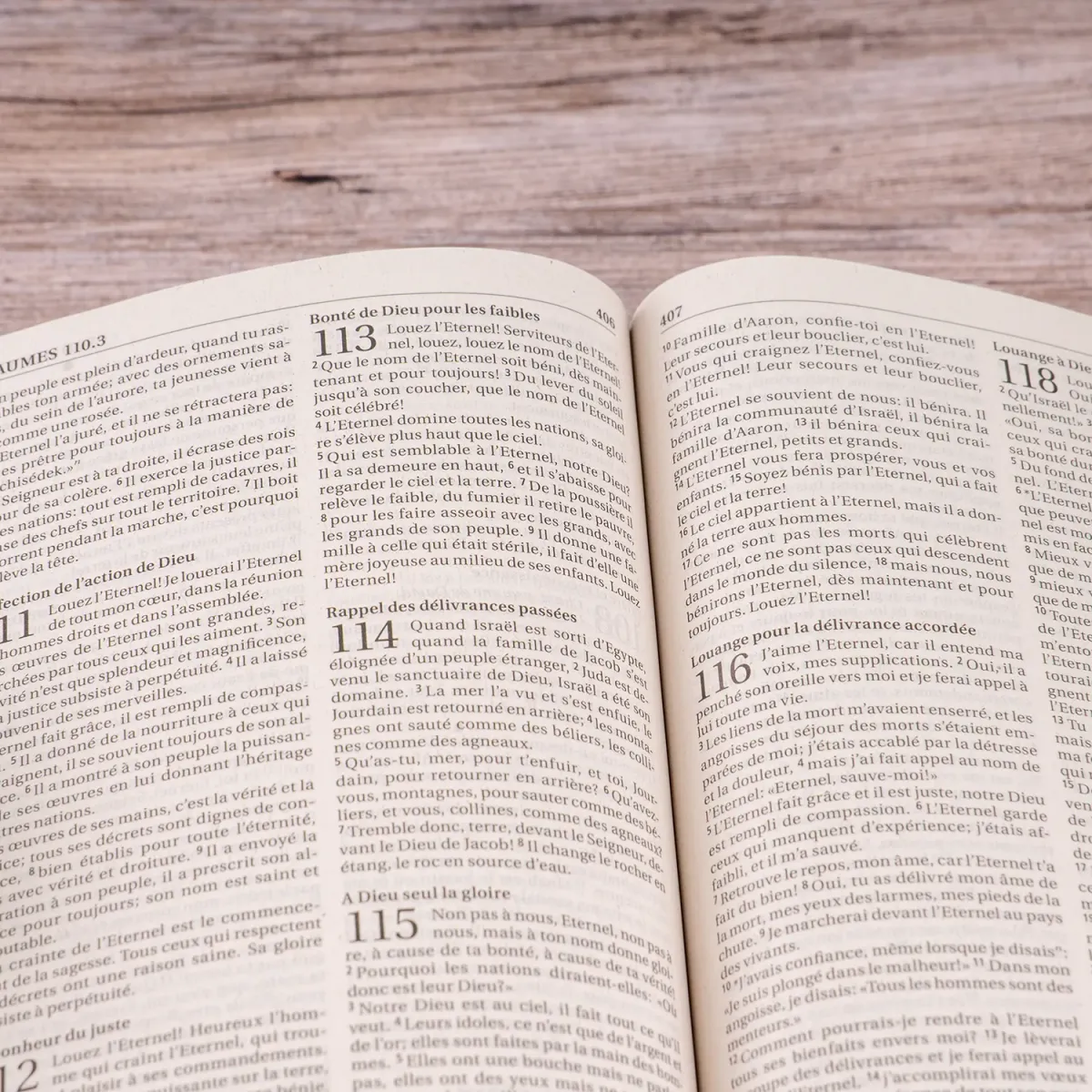 Bibel Segond 21, französisch - broschiert, Recyclingpapier