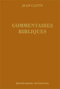 Jean - Commentaires bibliques, t.2