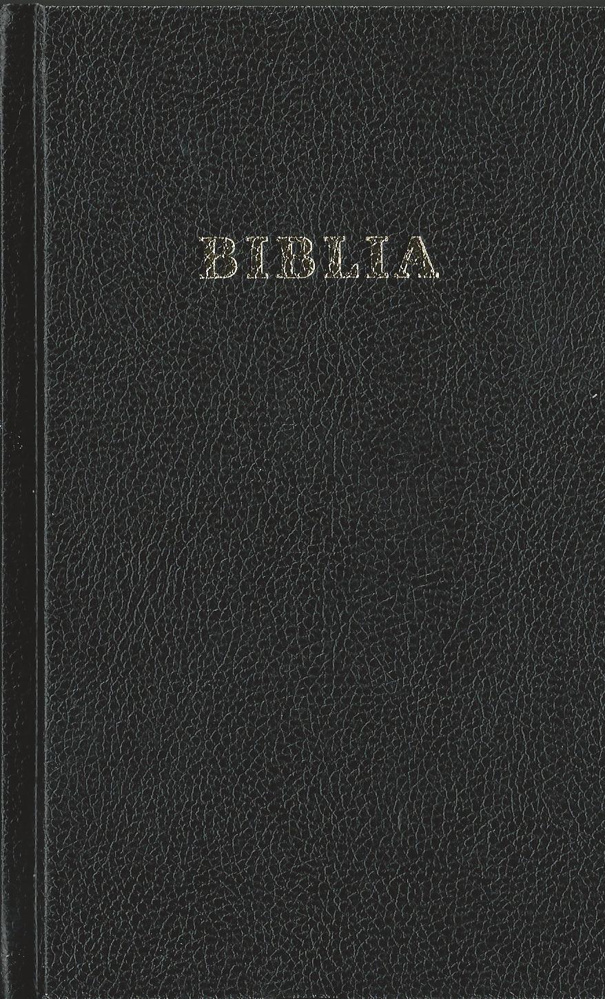 Rumänisch, Bibel, Traducerea GBV 2025, gebunden