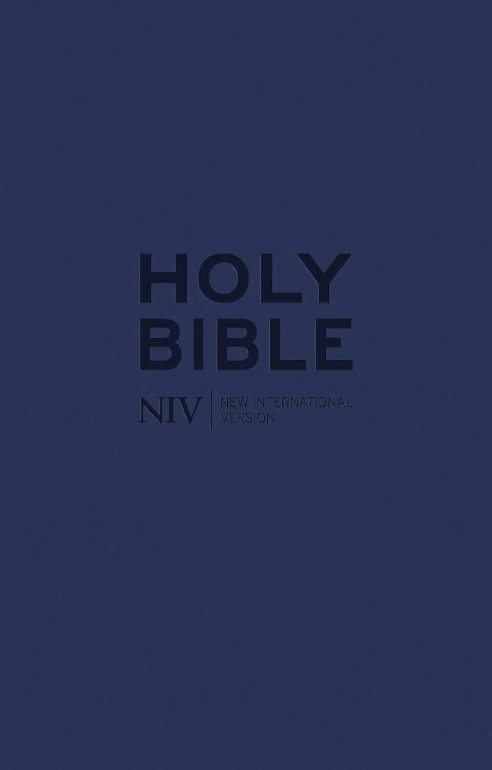 Englisch, Bibel New International Version, Kunstleder, blau, Reissverschluss