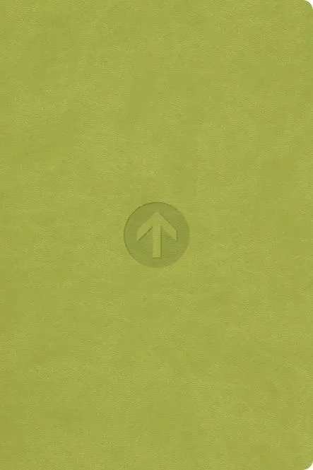 Bibel, Schlachter 2000, Taschenausgabe, Pu-Einband grün, grauer Farbschnitt, Fadenheftung