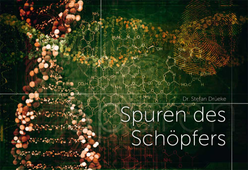 SPUREN DES SCHÖPFERS