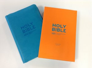 Englisch, Bibel New International Version, cyan blau, Reissverschluss