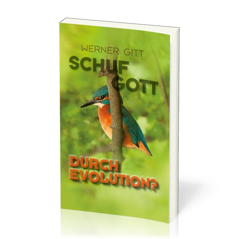 Schuf Gott durch Evolution?