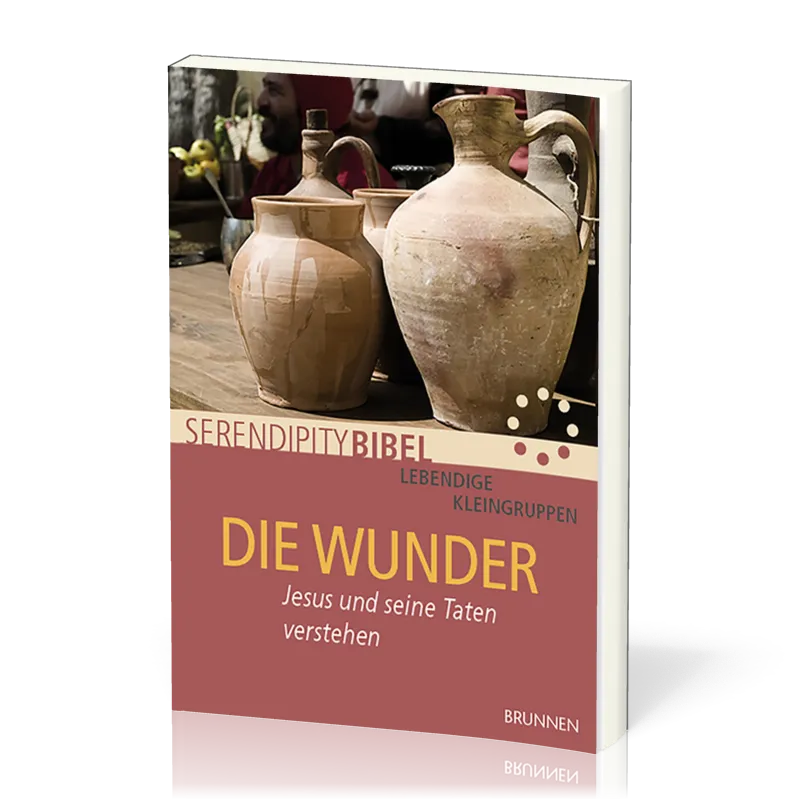 Die Wunder - Jesus und seine Taten verstehen - Serendipity