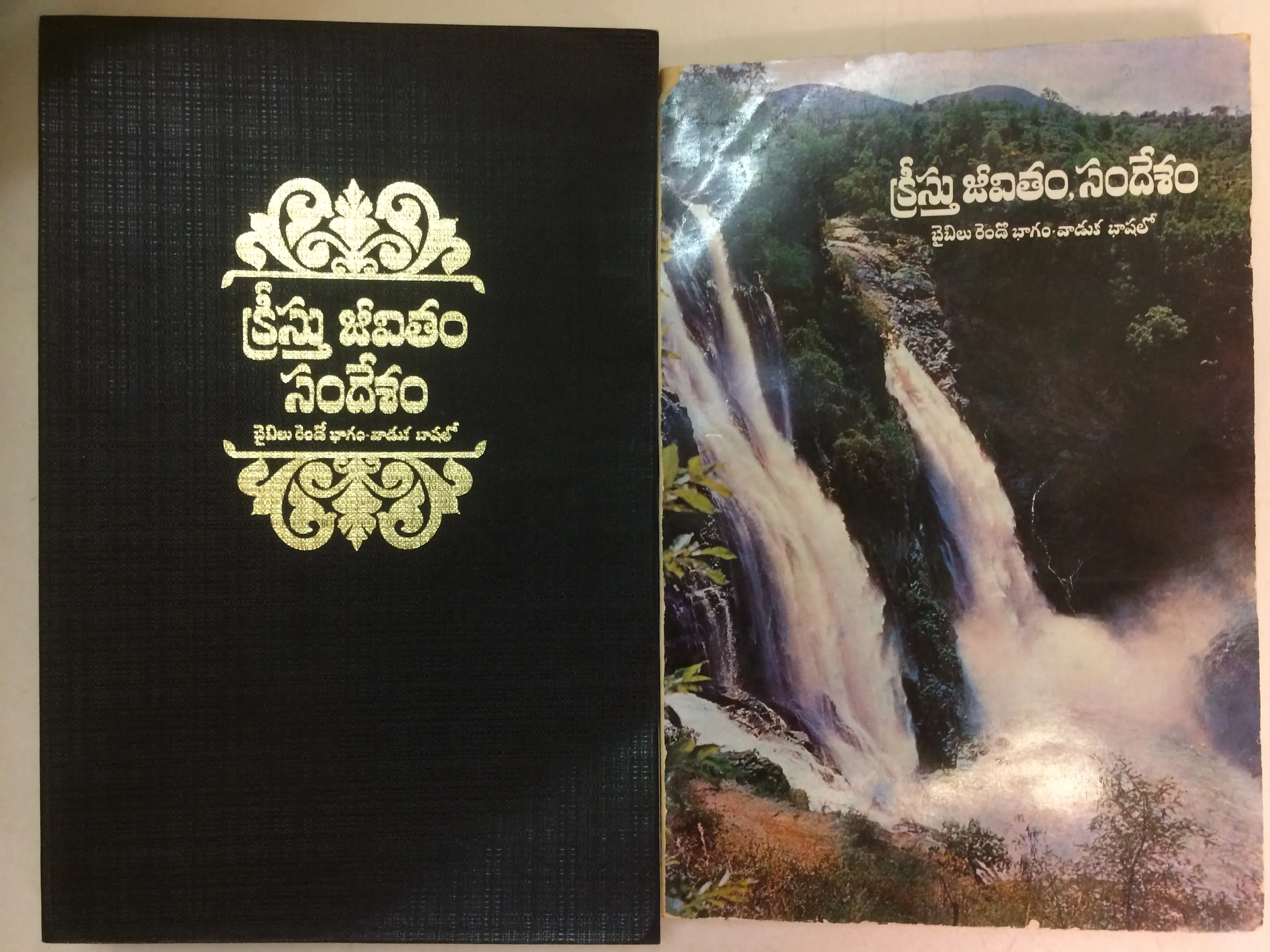Telugu (Indisch), Neues Testament, Living, farbiger Umschlag oder schwarz, Blindschnitt