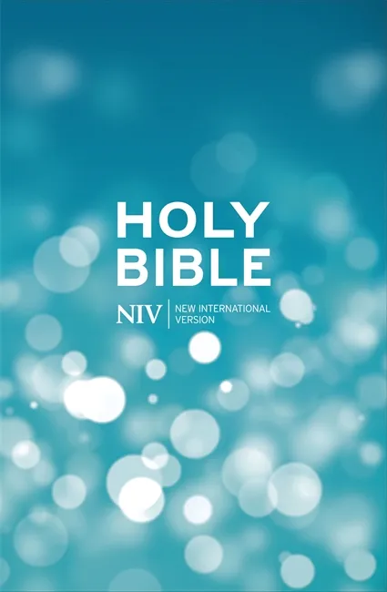 Englisch, Bibel New International Version, kartonniert, blau