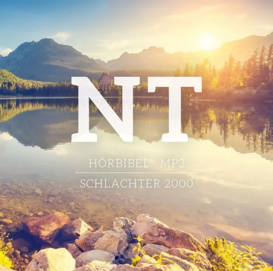 Das NT - Schlachter 2000 auf CD (im MP3-Format)