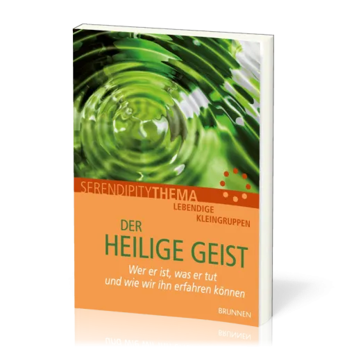 Der Heilige Geist Serendipity