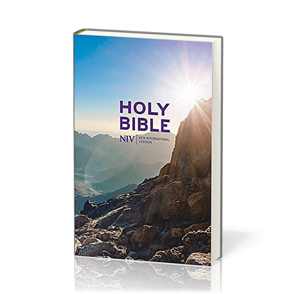 Englisch, Bibel New International Version, kartonniert, illustrierter Einband