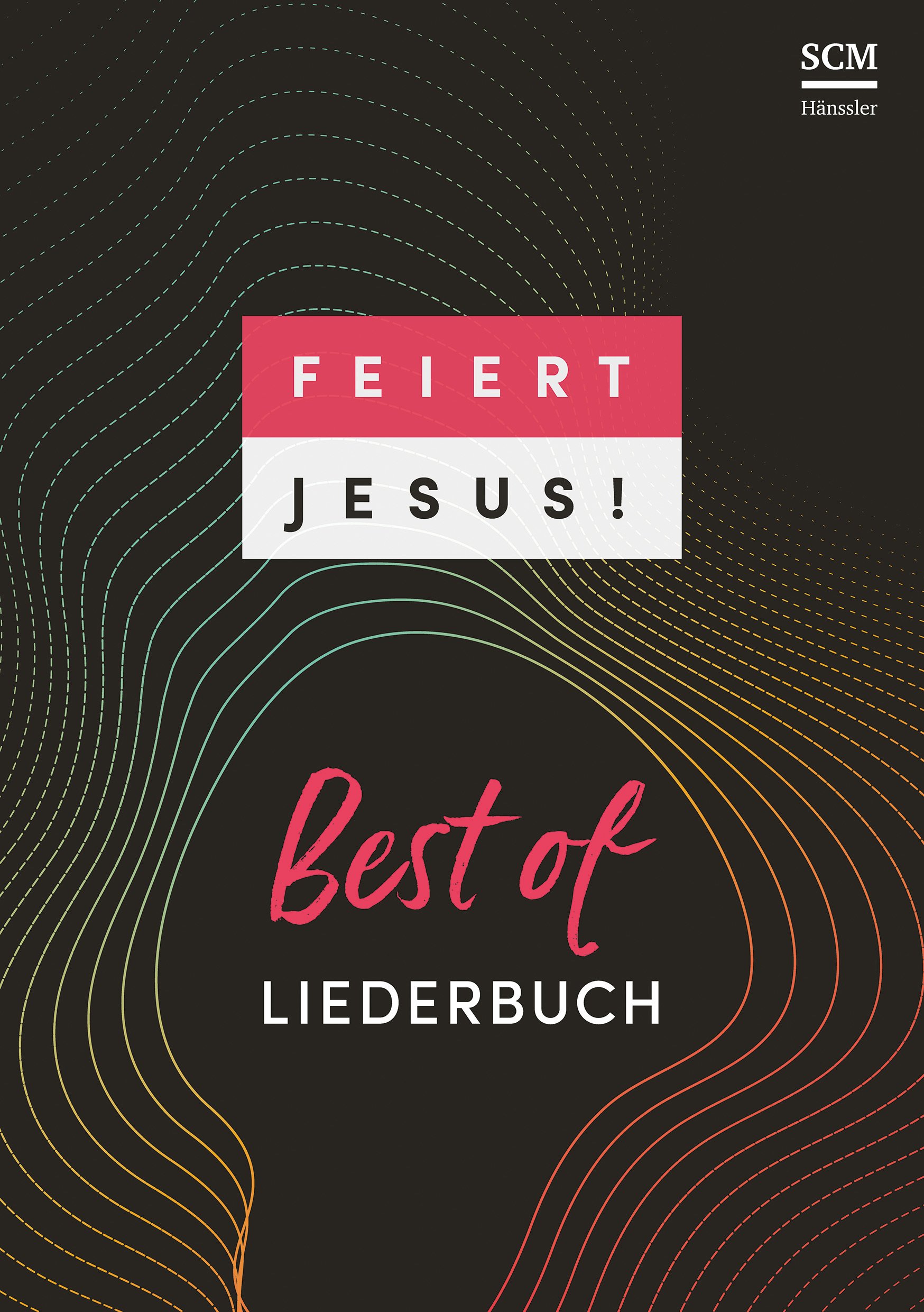 Feiert Jesus! 3 Best of (Liederbuch A4 Ringbuch) - Grossdruck